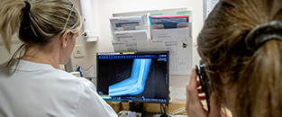 Vårdpersonal tittar på röntgenbild