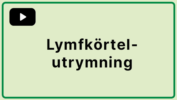 Bildtext som beskriver innehållet i filmen